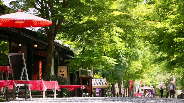 町屋风格的餐厅和礼品店在新鲜的绿树成荫的街道/大原，日本京都视频下载