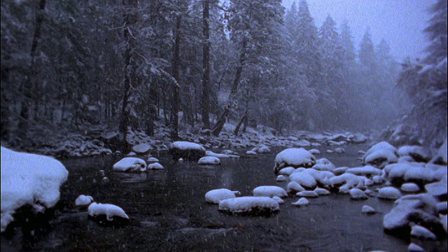降雪与溪流森林/内华达山脉，加利福尼亚视频素材