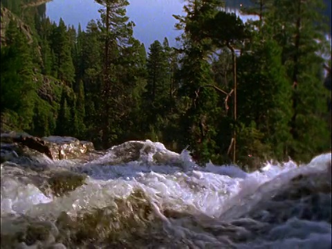 湍急的河流与松林背景/太浩湖，加利福尼亚视频素材