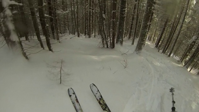 男子越野滑雪之间的树木下的积雪覆盖的山。- 1920 x1080视频素材