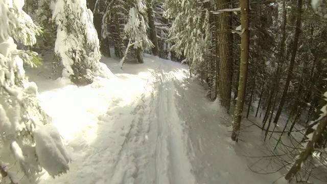在白雪覆盖的山上，在树林中越野滑雪。- 1920 x1080视频素材