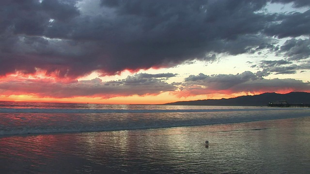 日落后的神奇时刻，圣塔莫尼卡海滩的加利福尼亚水域里，一只孤独的海鸥在冲浪视频素材