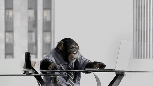猴子业务办公室视频素材