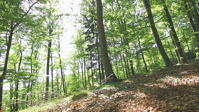 年轻女子骑山地自行车穿过一片森林视频素材