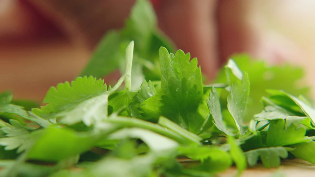 绿色香菜放在厨房砧板上，用钢刀切成小块/美国加州洛杉矶视频素材