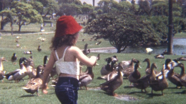 1960年代喂鸭子视频下载