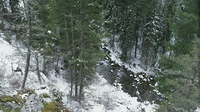 “MS以向下的角度拍摄的冬季小溪，这条小溪流经雪山松林/美国俄勒冈州约瑟夫”视频下载