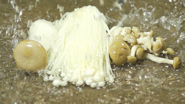 漂洗有机蘑菇:高清慢动作视频素材