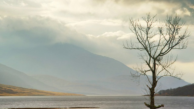 英国苏格兰gualachulain，由Loch Etive设计的gualachulain，孤独的树和云山/ gualachulain视频下载