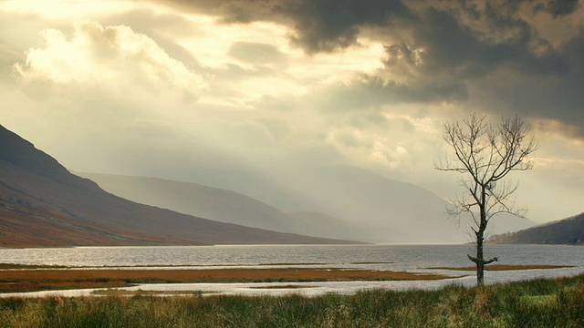 gualachulain by Loch Etive，孤独的树和云山/ gualachulain，苏格兰，英国视频下载
