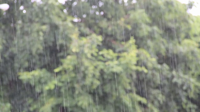 下雨视频下载