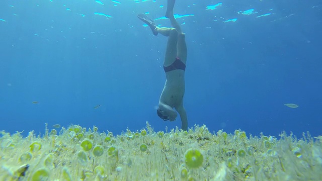 高清慢动作:男子自由潜水视频下载