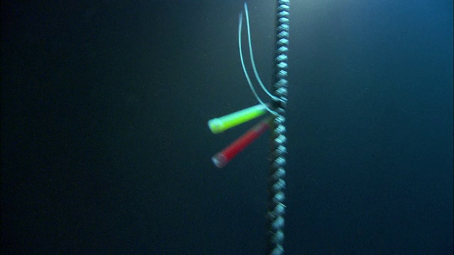 发光棒挂在深海的一根绳子上。高清。视频下载