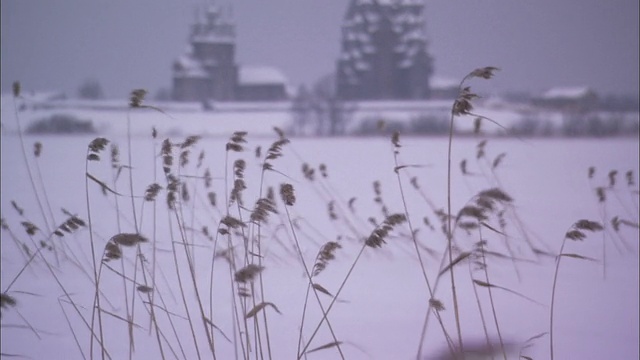俄罗斯Kizhi Pogost附近的雪地里，杂草在风中飞舞。高清。视频素材