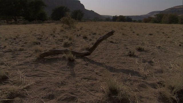 阳光直射在纳米比亚的干旱平原上。高清。视频下载