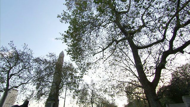 阳光穿过伦敦BT塔附近的树梢。高清。视频素材