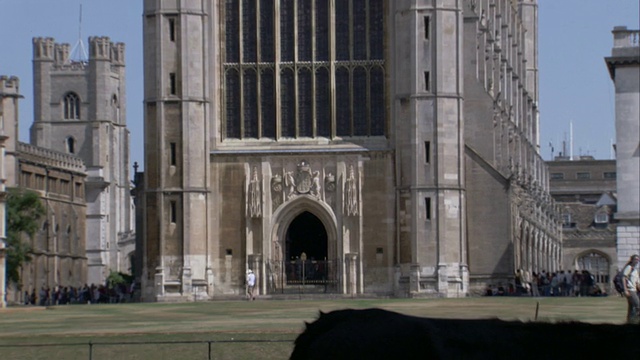 剑桥圣母和圣尼古拉斯国王学院的国王学院教堂附近，奶牛在吃草。高清。视频下载