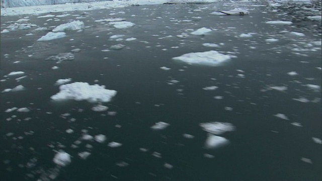 飞过阿拉斯加威廉王子湾漂浮的小冰山。高清。视频下载
