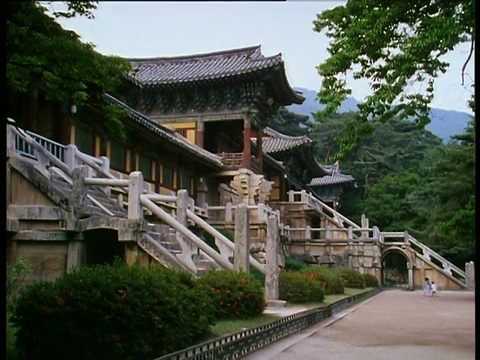 韩国庆州佛寺正面侧视图，树木环绕;游客参观视频素材