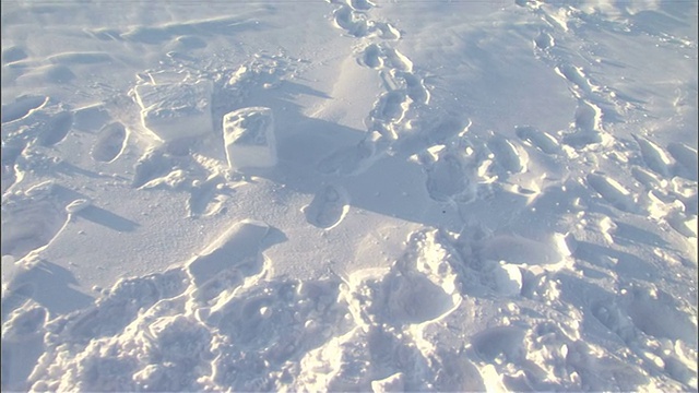 雪地上的脚印通向一座冰屋的入口。高清。视频下载