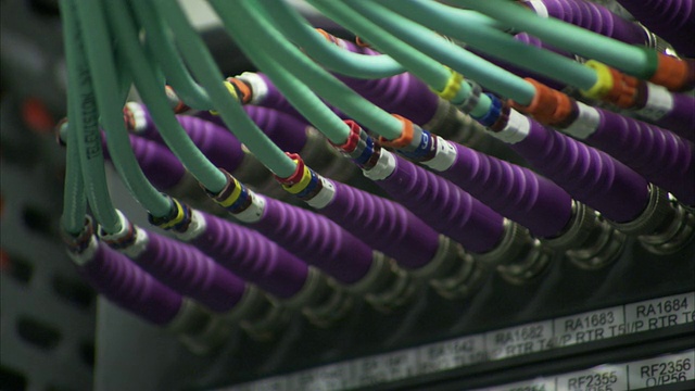 一排排带有紫色头的绿色电缆连接到计算机服务器的端口上。视频下载