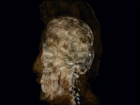 图形描绘了人类头部从肌肉和静脉结构通过头骨到大脑的地形探索视频下载