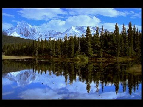 湖边的冷杉树，背景是白雪覆盖的山脉;巨大的雪山和明亮的蓝天倒映在阿拉斯加的大湖上视频下载