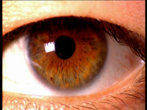 揭开眼睑，露出棕色瞳孔和黑色虹膜视频下载