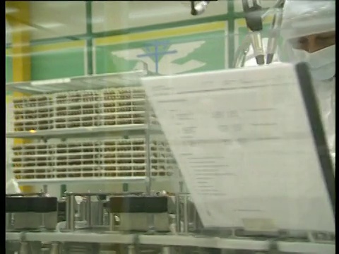 沿着玻璃窗户后面的电脑生产线上戴着白色面罩和工作服的员工视频素材