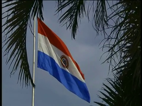 巴拉圭国旗在旗杆上飘扬视频下载