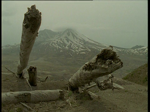 华盛顿州圣海伦斯火山爆发20年后，倒下的树躺在火山前视频下载