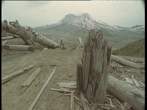 在华盛顿州的圣海伦斯火山爆发20年后，潘在火山前留下了许多死的和被压扁的树视频下载