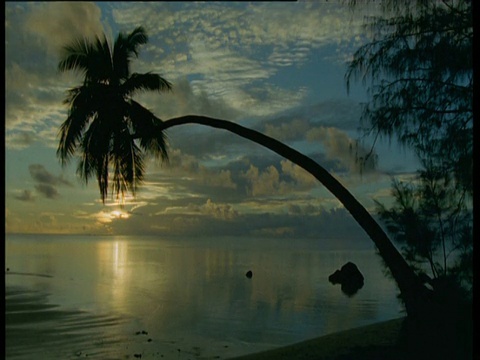 艾图塔基岛，日落时海滩上棕榈树的剪影视频下载