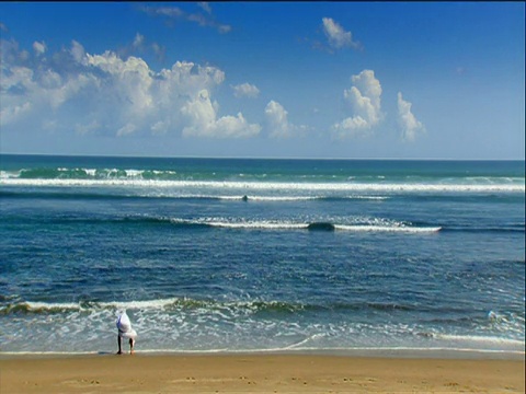 一名身穿白袍的巴厘男子站在金色的沙滩上，弯下腰，触摸海水，然后望向巴厘岛的浪花视频下载
