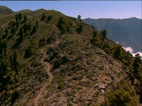 沿着山坡上稀稀落落的树木，到达拉帕尔马坎布里维亚火山的火山口核心视频下载
