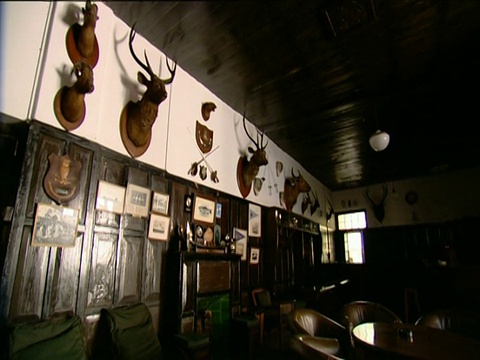 潘在印度芒纳高范围俱乐部(High Range Club Munnar India)的墙上挂满了奖杯和动物头视频素材