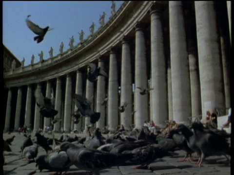 一群鸽子滑翔着降落在圣彼得广场的廊柱上，背景是罗马的游客视频下载
