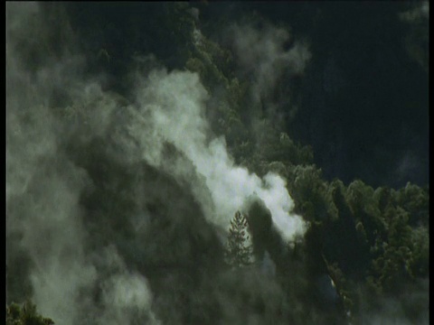 蒸汽从新西兰北岛罗托鲁瓦森林的火山口升起视频下载