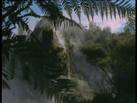 在新西兰北岛罗托鲁瓦火山喷口升起的蒸汽背景中，蕨叶在微风中摇曳视频下载