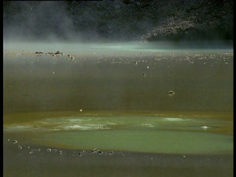 新西兰北岛罗托鲁瓦火山温泉中，蒸汽吹过五颜六色的细菌菌落视频下载