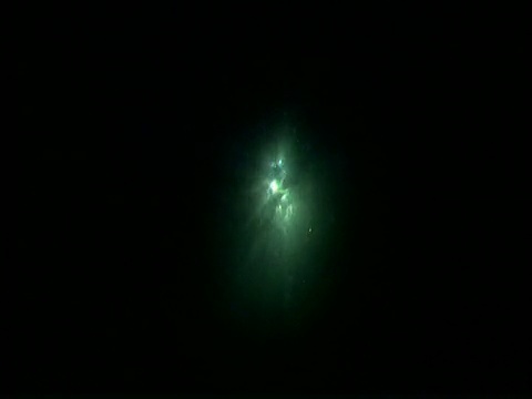 夜晚，新西兰山羊岛，满月的微光穿过海面视频下载