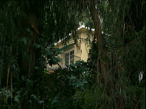 隐藏在树后面的豪华平房Chateau Marmont日落大道洛杉矶视频素材