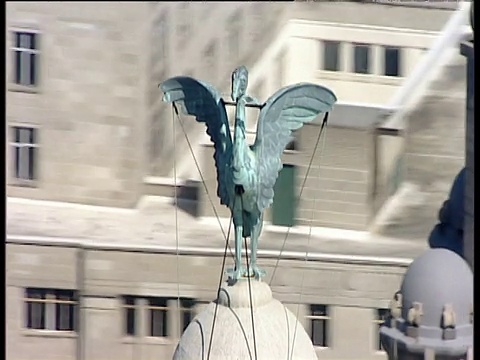 在利物浦肝脏大楼上追踪圆形肝脏鸟雕像视频素材