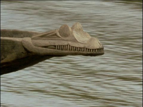 鳄鱼头雕刻的独木舟船头滑行在巴布亚新几内亚塞皮克河视频下载