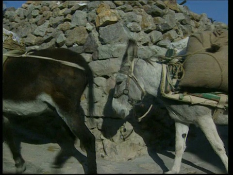 两匹驮着一袋袋玉米的驴子穿过帕特莫斯狭窄的鹅卵石街道视频素材