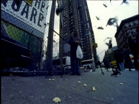 一名男子在人行道上用塑料袋喂鸽子视频素材