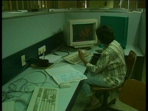 班加罗尔的上班族在小隔间里使用电脑;1997年3月视频下载