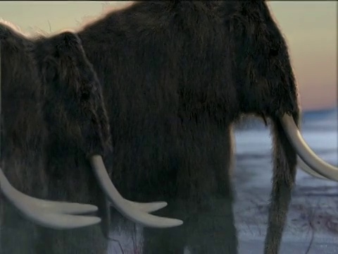 在北美的黄昏时分，三只猛犸象在冰雪覆盖的苔原上行走视频下载