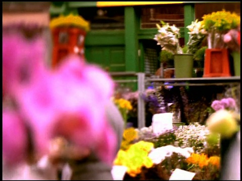 伦敦，花和花店之间的焦点视频素材