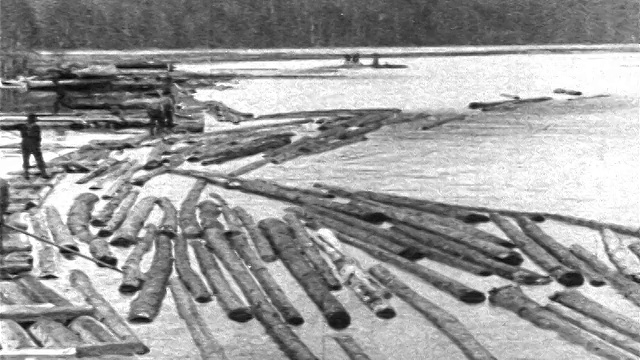 1906年，缅因河上漂着木头的人视频下载